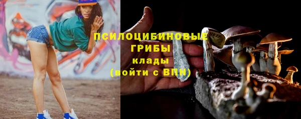 MDMA Premium VHQ Белокуриха