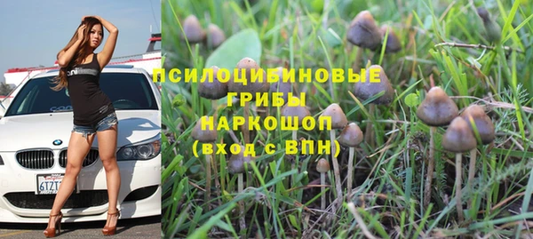 тгк Балахна